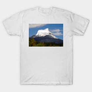 850_5241 T-Shirt